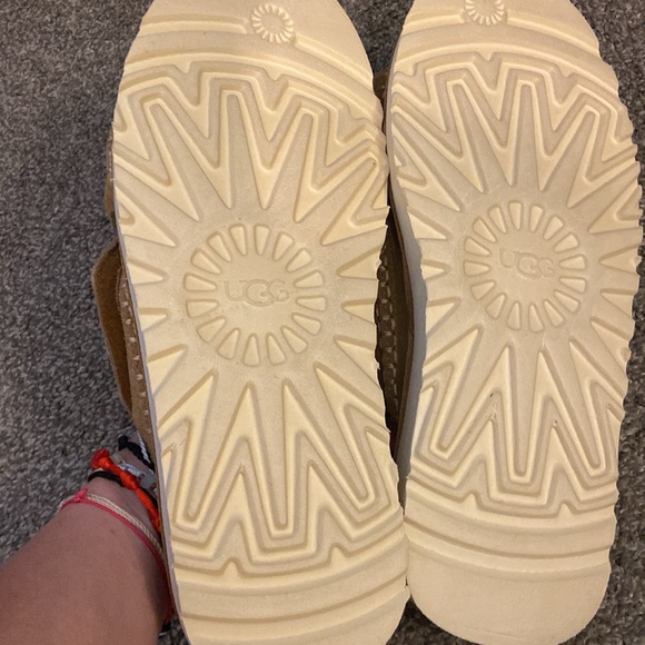 Chestnut Slides - Picture 4 of 9